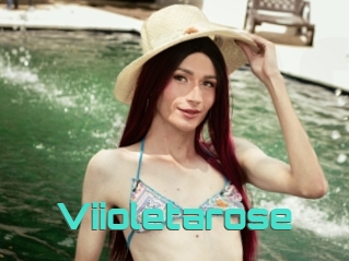 Viioletarose