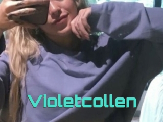 Violetcollen