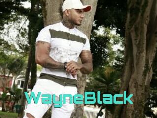 WayneBlack