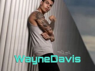 WayneDavis