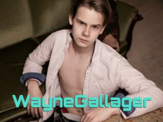 WayneGallager