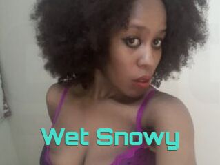 Wet_Snowy