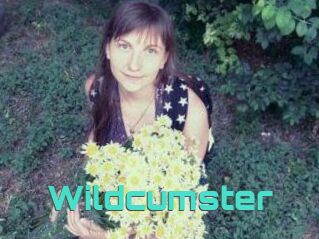 Wildcumster