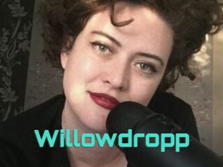 Willowdropp