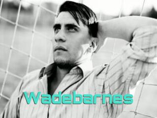 Wadebarnes