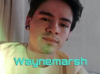 Waynemarsh