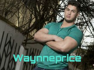 Waynneprice