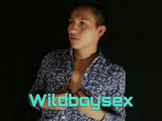 Wildboysex