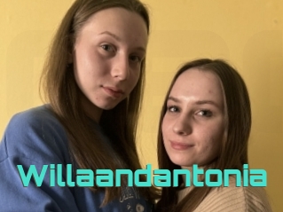 Willaandantonia