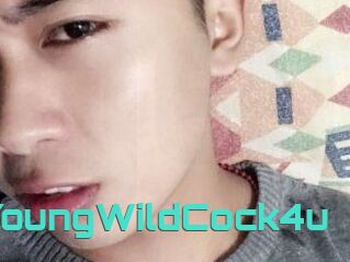 YoungWildCock4u