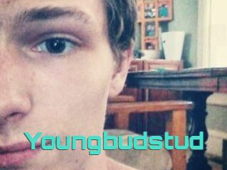 Youngbudstud